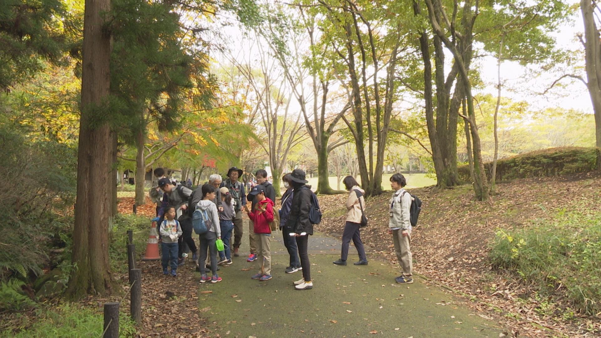 秋の子ども昆虫観察会