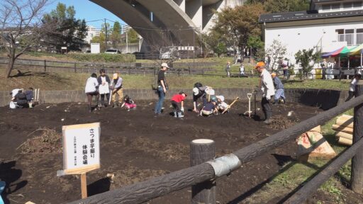 上谷戸親水公園 秋の収穫祭